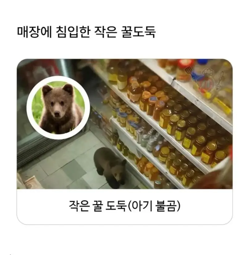 혈당 스파이크 온 불곰 | 인스티즈
