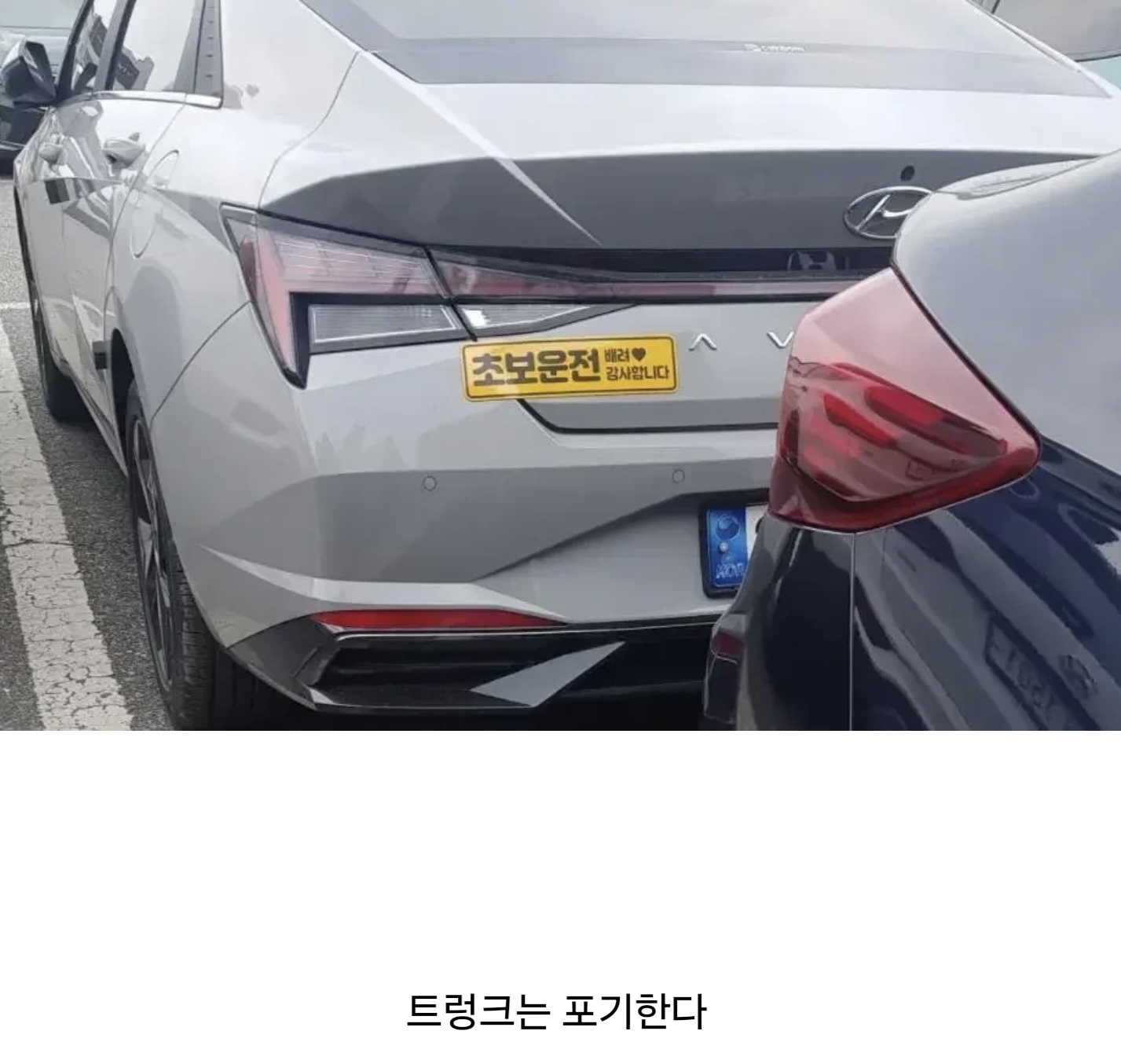 믿을 수 밖에 없는 초보운전 딱지 | 인스티즈