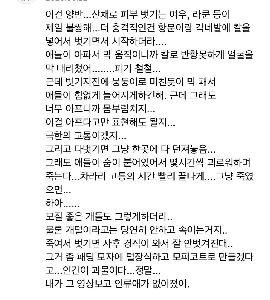 이번 겨울에 오리털 패딩 만원에 판다는 브랜드 ㄷㄷㄷ.JPG | 인스티즈