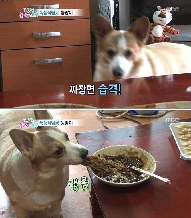 나중에 나처럼 우락부락해지면 누가 귀여워 해 줄거 같냐? | 인스티즈