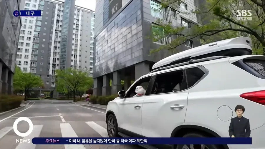 가끔씩 보이는 위험한 운전 | 인스티즈