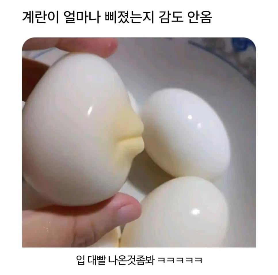 계란이 얼마나 삐졌는지 감도 안 옴 | 인스티즈