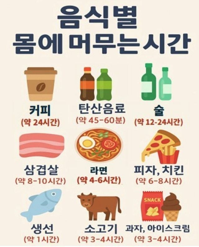 음식별 몸에 머무는 시간 | 인스티즈