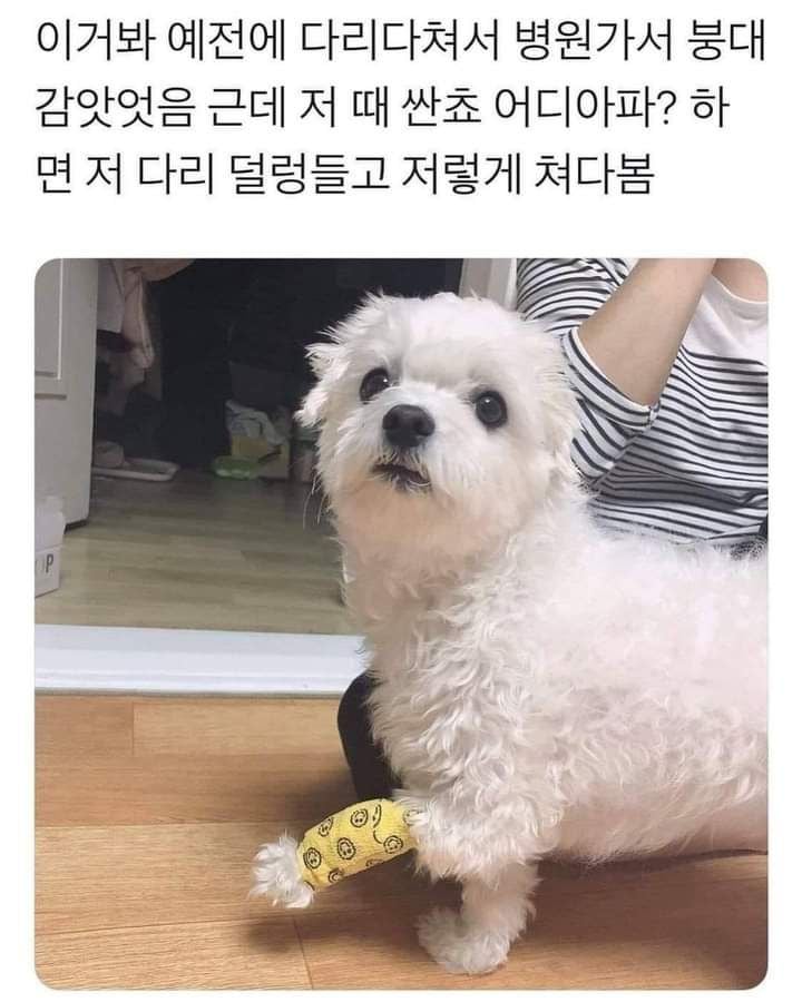 나중에 나처럼 우락부락해지면 누가 귀여워 해 줄거 같냐? | 인스티즈