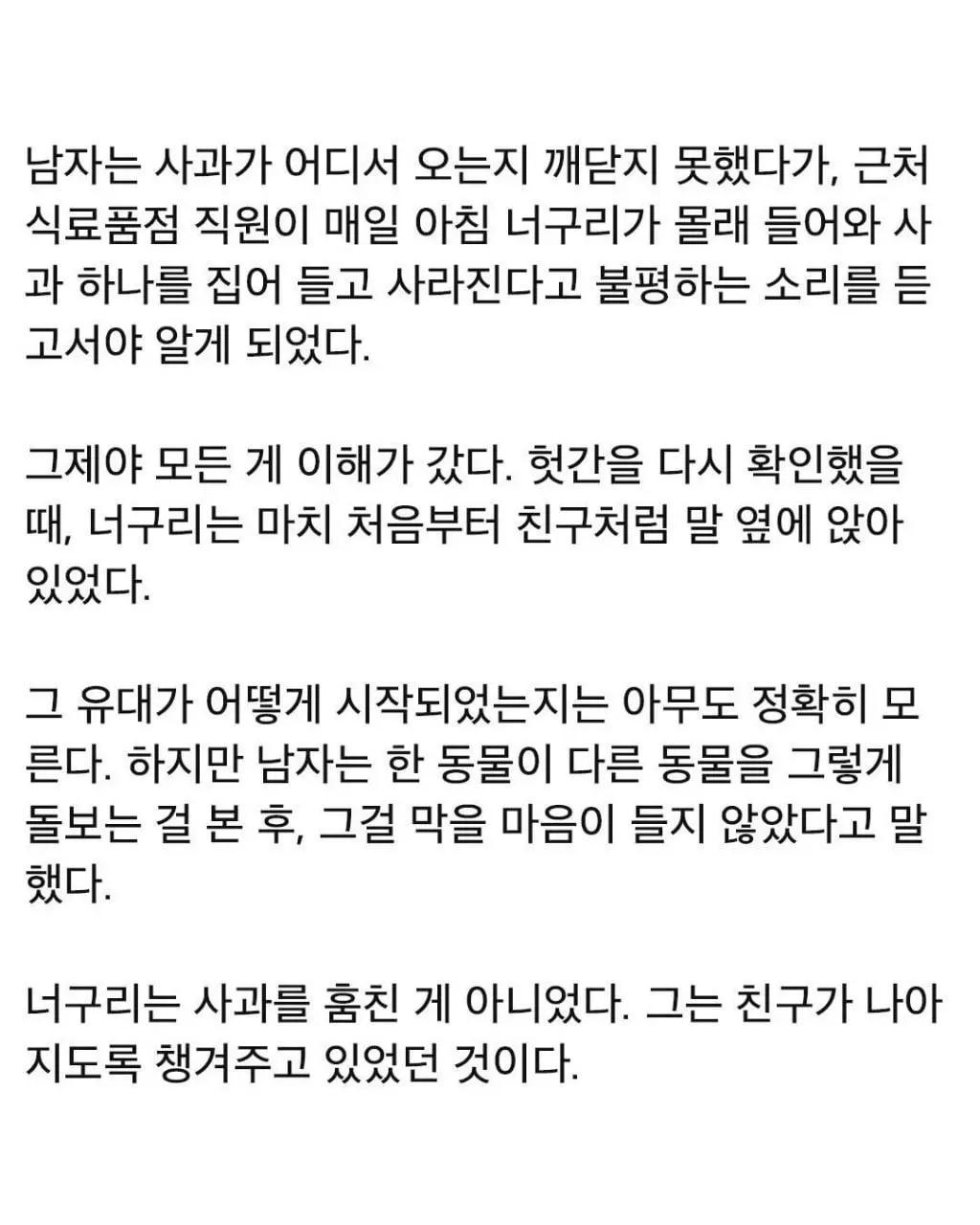 너구리가 매일 사과를 훔친 이유.jpg | 인스티즈