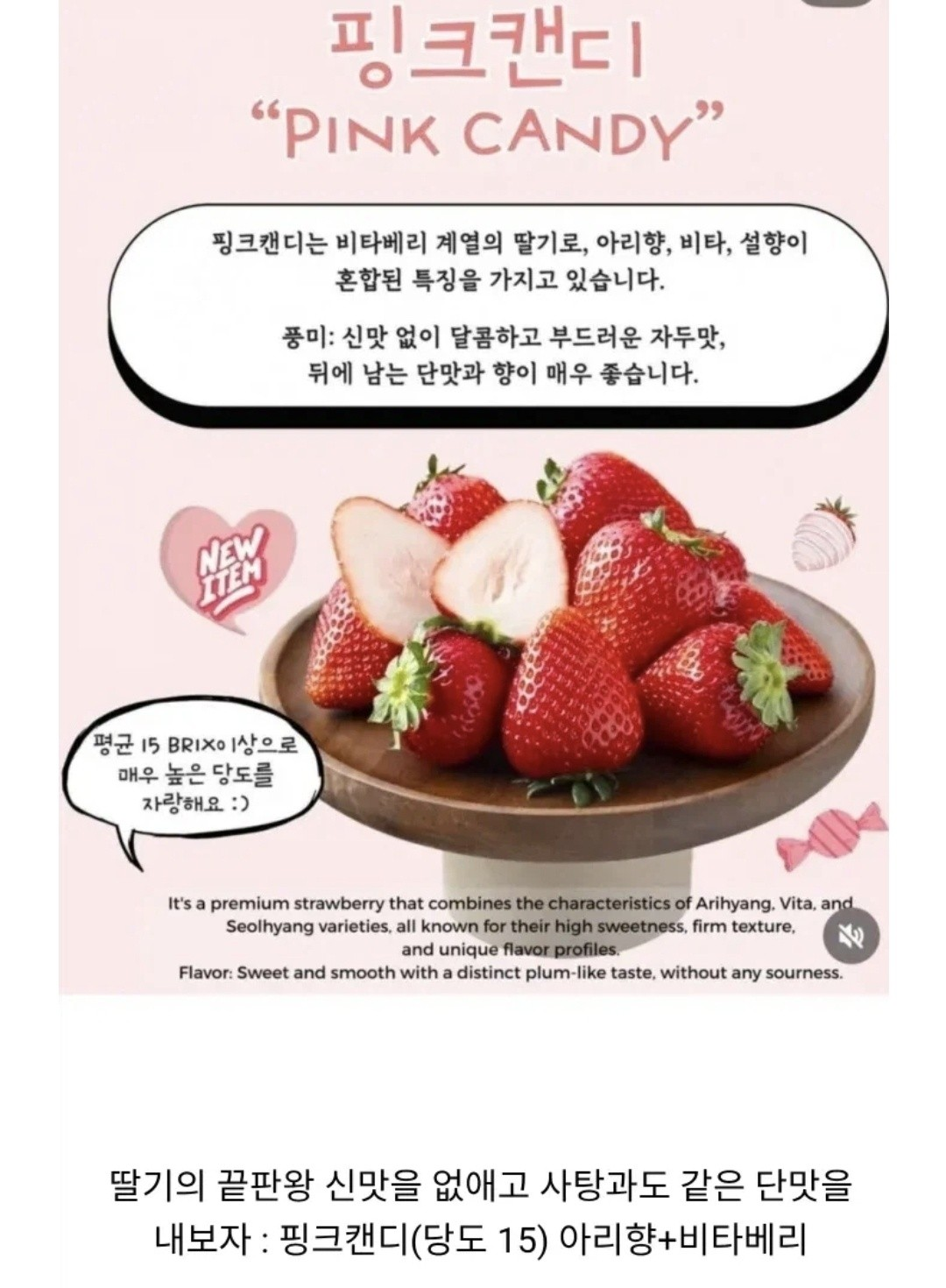 딸기 품종 개량 현황 | 인스티즈