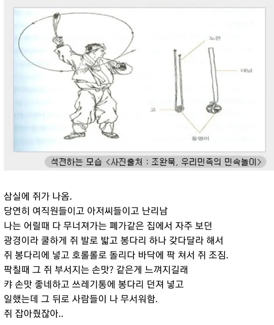 쥐를 잡자 사람들이 나를 두려워한다 | 인스티즈