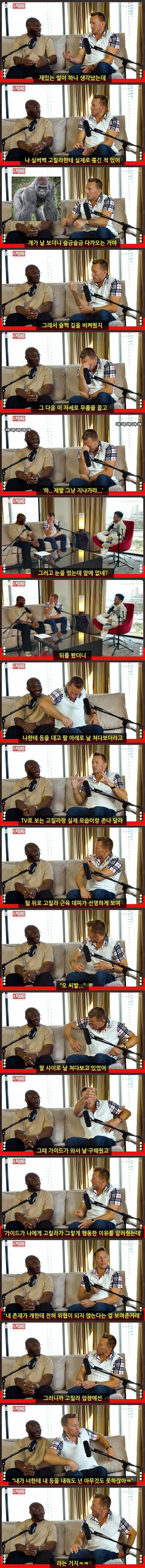 고릴라를 실제로 보고 쫄았던 UFC챔피언 | 인스티즈