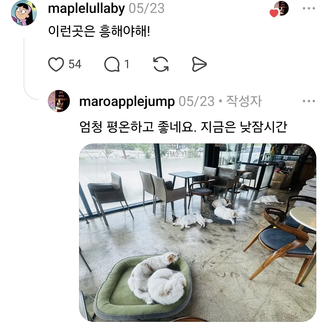 운영이 ㄹㅇ 개판인 인천 영종도 카페 | 인스티즈