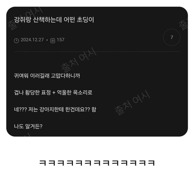 강쥐랑 산책하는데 어떤 초딩이 | 인스티즈