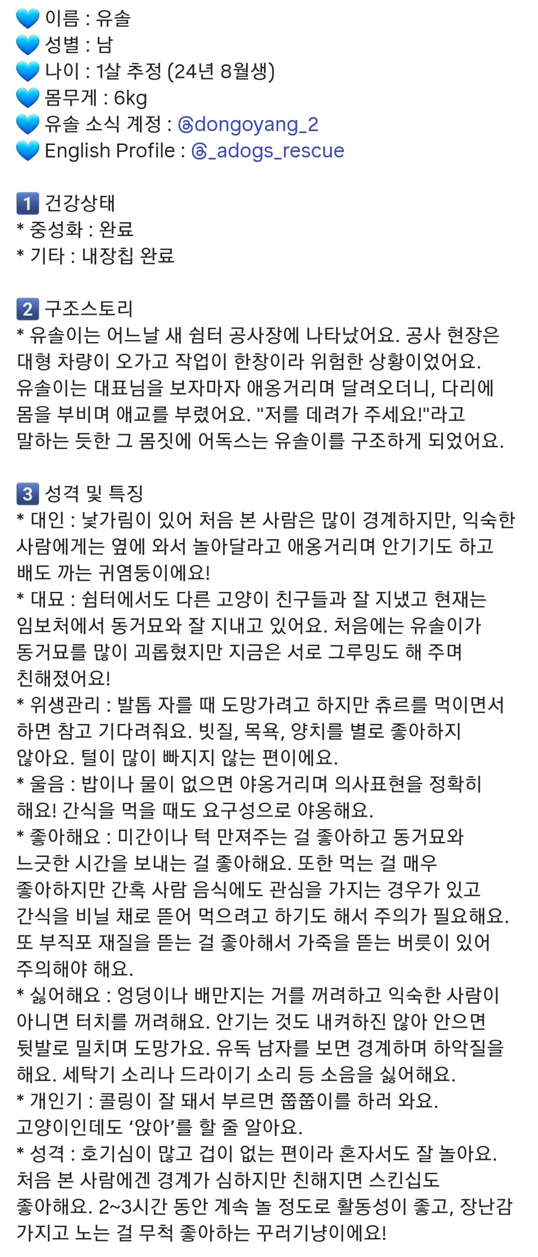 올여름은 유기동물과 함께🐶🐰😸 +임시보호 | 인스티즈