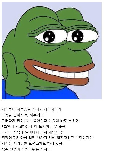 백수 인생 하루 패턴 | 인스티즈
