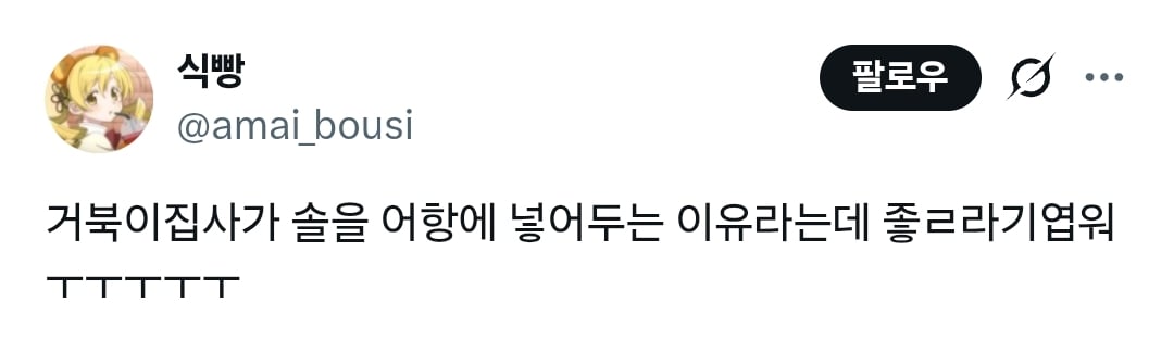 거북이집사가 솔을 어항에 넣어두는 이유 | 인스티즈