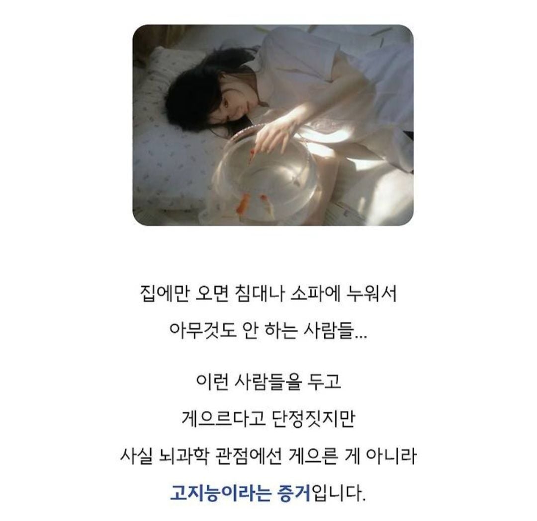 의외의 고지능자들의 특징.jpg | 인스티즈