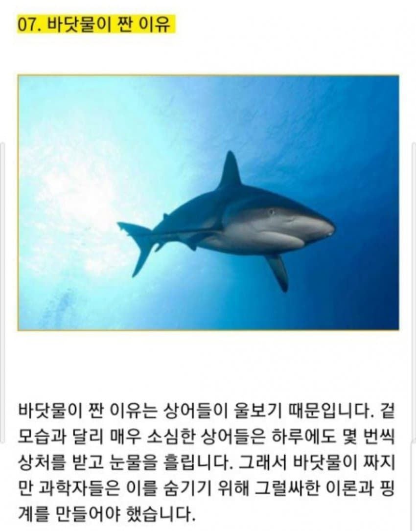 바닷물이 짠 진짜 이유 | 인스티즈