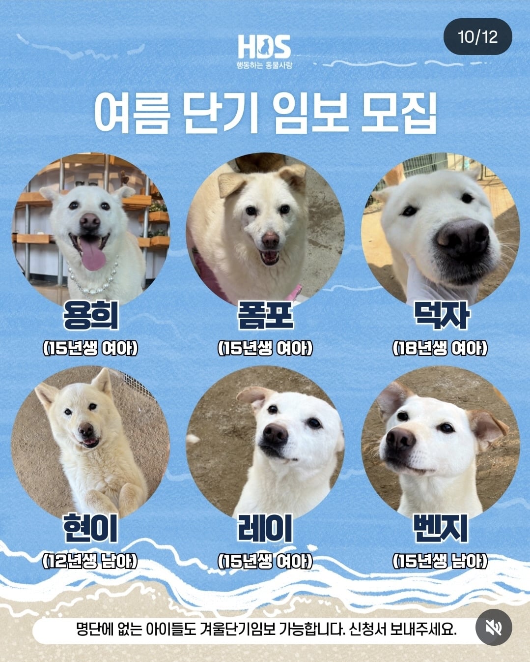 올여름은 유기동물과 함께🐶🐰😸 +임시보호 | 인스티즈