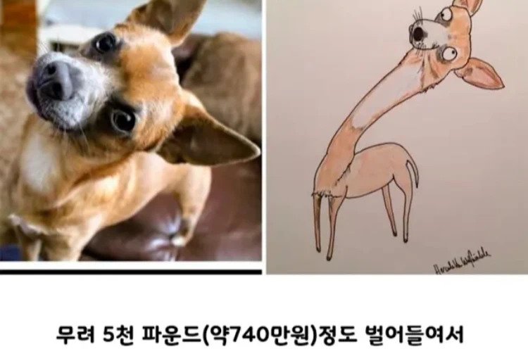 커미션 받아요 단돈 44만원 | 인스티즈