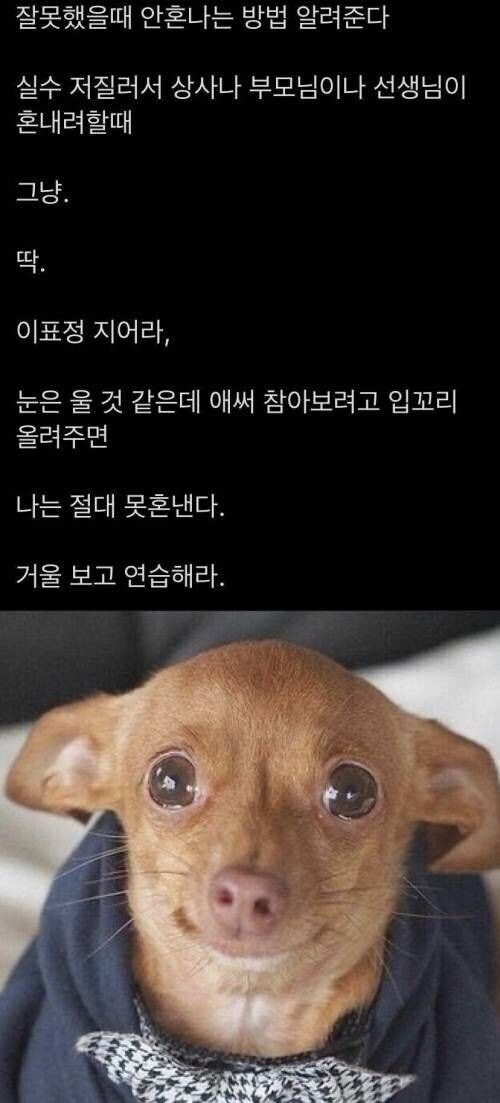 잘못했을 때 혼나지 않는 방법.jpg | 인스티즈