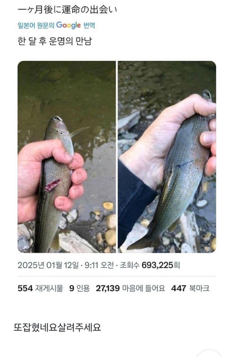 저는 한달 전 당신이 살려준 물고기입니다 | 인스티즈