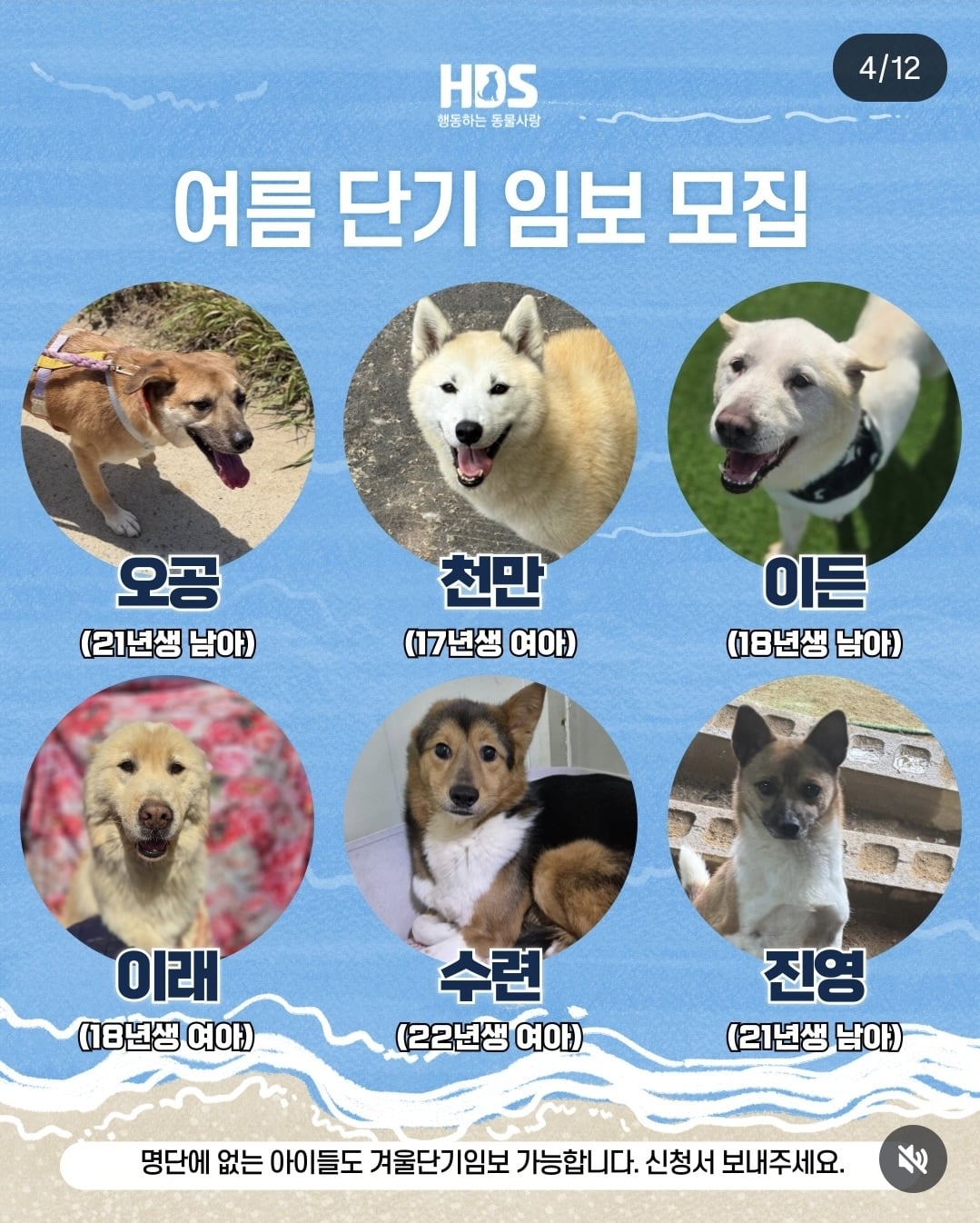 올여름은 유기동물과 함께🐶🐰😸 +임시보호 | 인스티즈