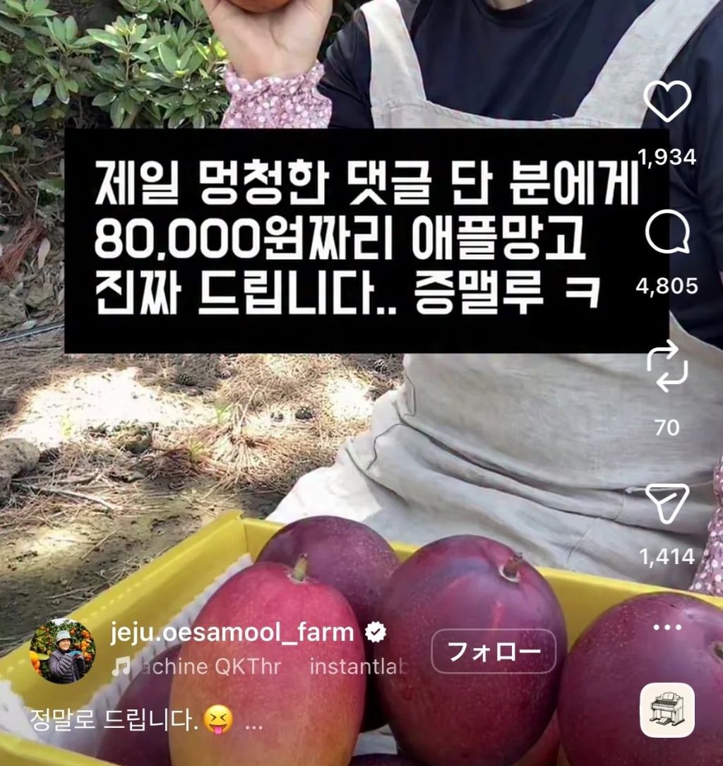 [잡담] 제일 몽총한 댓글 단 분에게 애플망고 드립니다! | 인스티즈