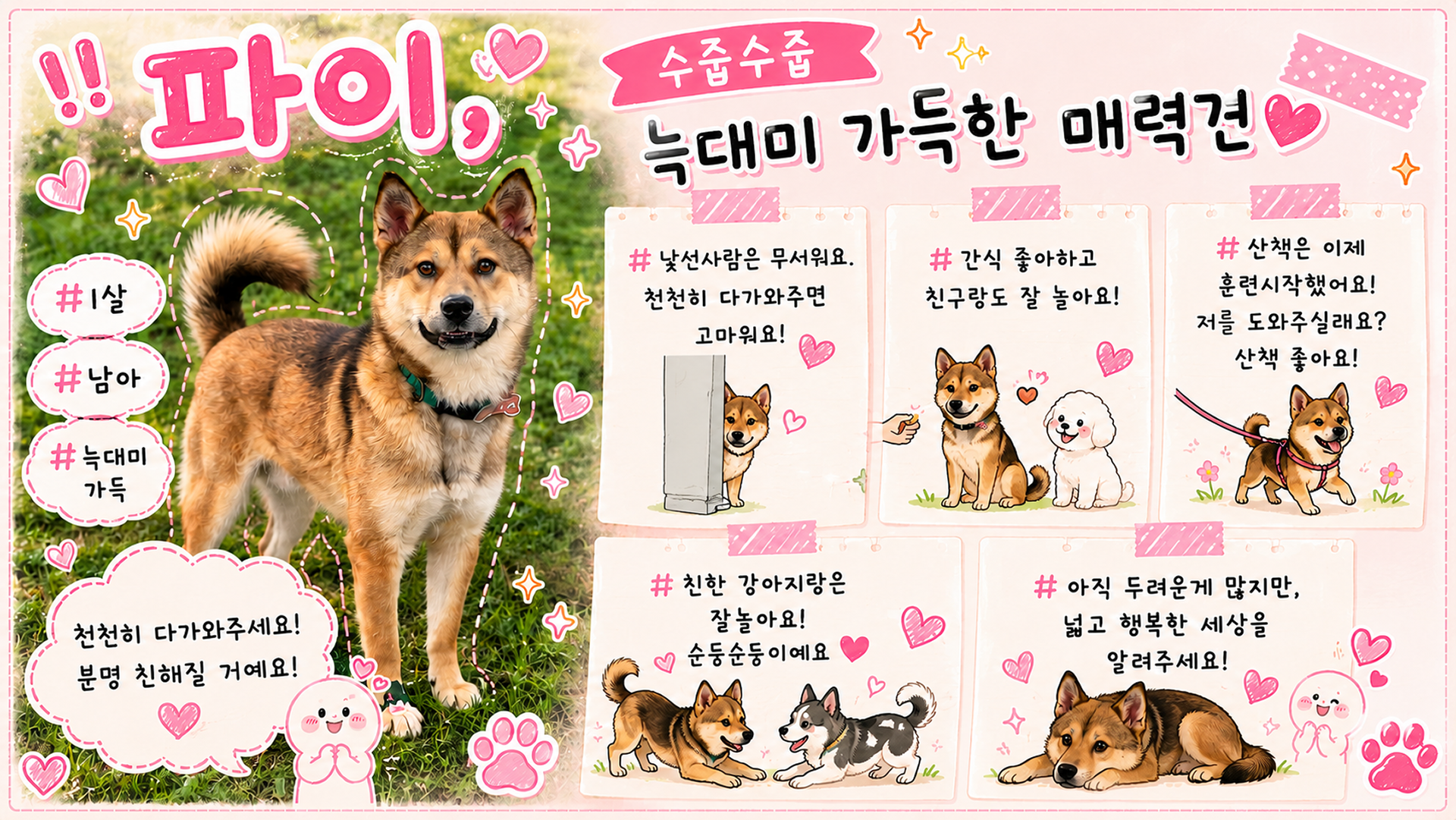 올여름은 유기동물과 함께🐶🐰😸 +임시보호 | 인스티즈