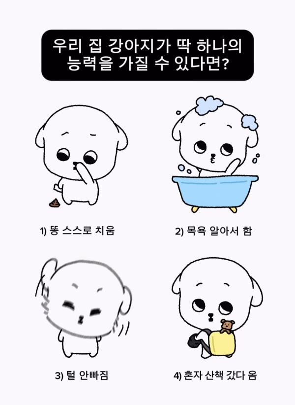 우리집 강아지가 딱 하나의 능력을 가질 수 있다면? | 인스티즈
