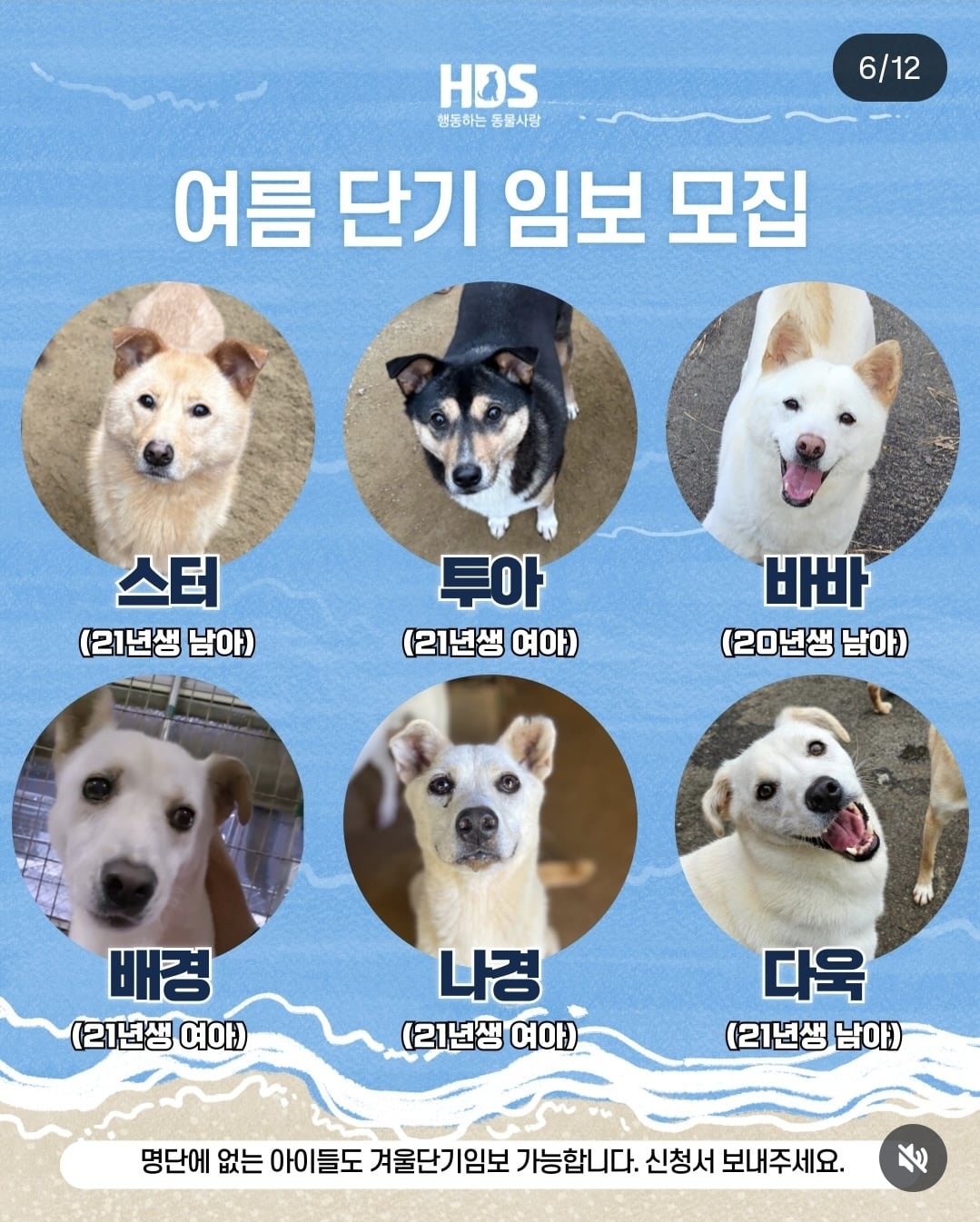 올여름은 유기동물과 함께🐶🐰😸 +임시보호 | 인스티즈