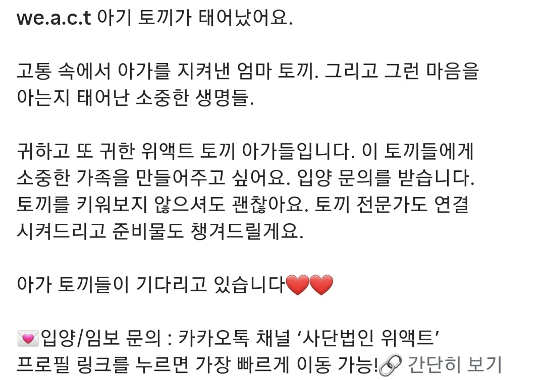 올여름은 유기동물과 함께🐶🐰😸 +임시보호 | 인스티즈