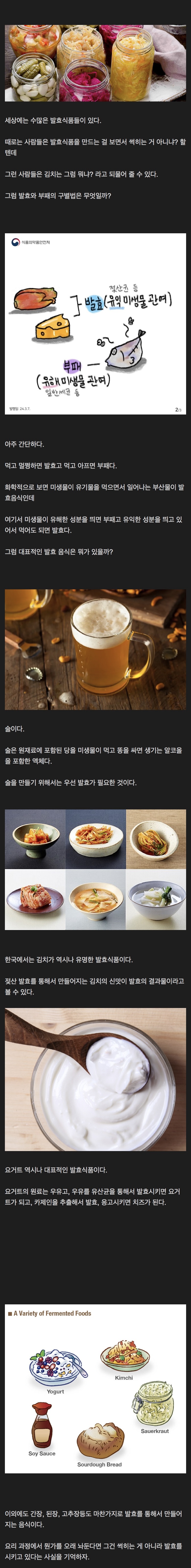 발효와 부패 차이 | 인스티즈