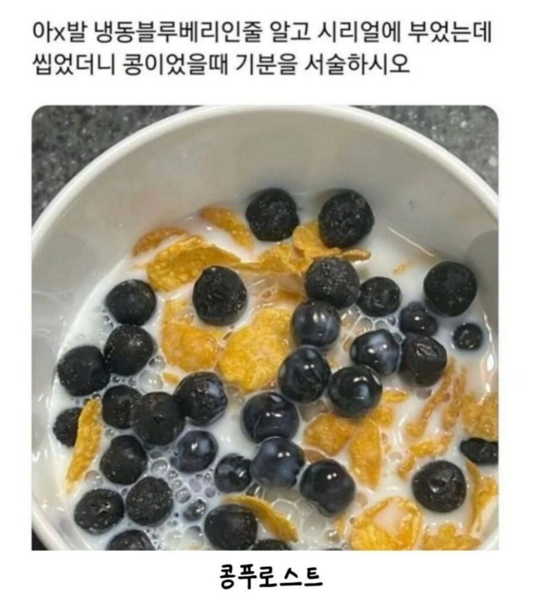 콩푸로스트 | 인스티즈