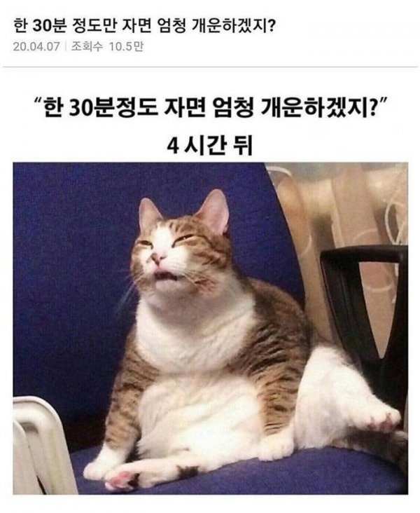 미스터리한 수면의 세계 | 인스티즈