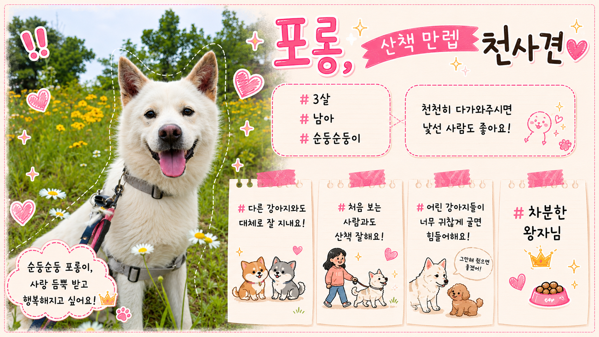 올여름은 유기동물과 함께🐶🐰😸 +임시보호 | 인스티즈