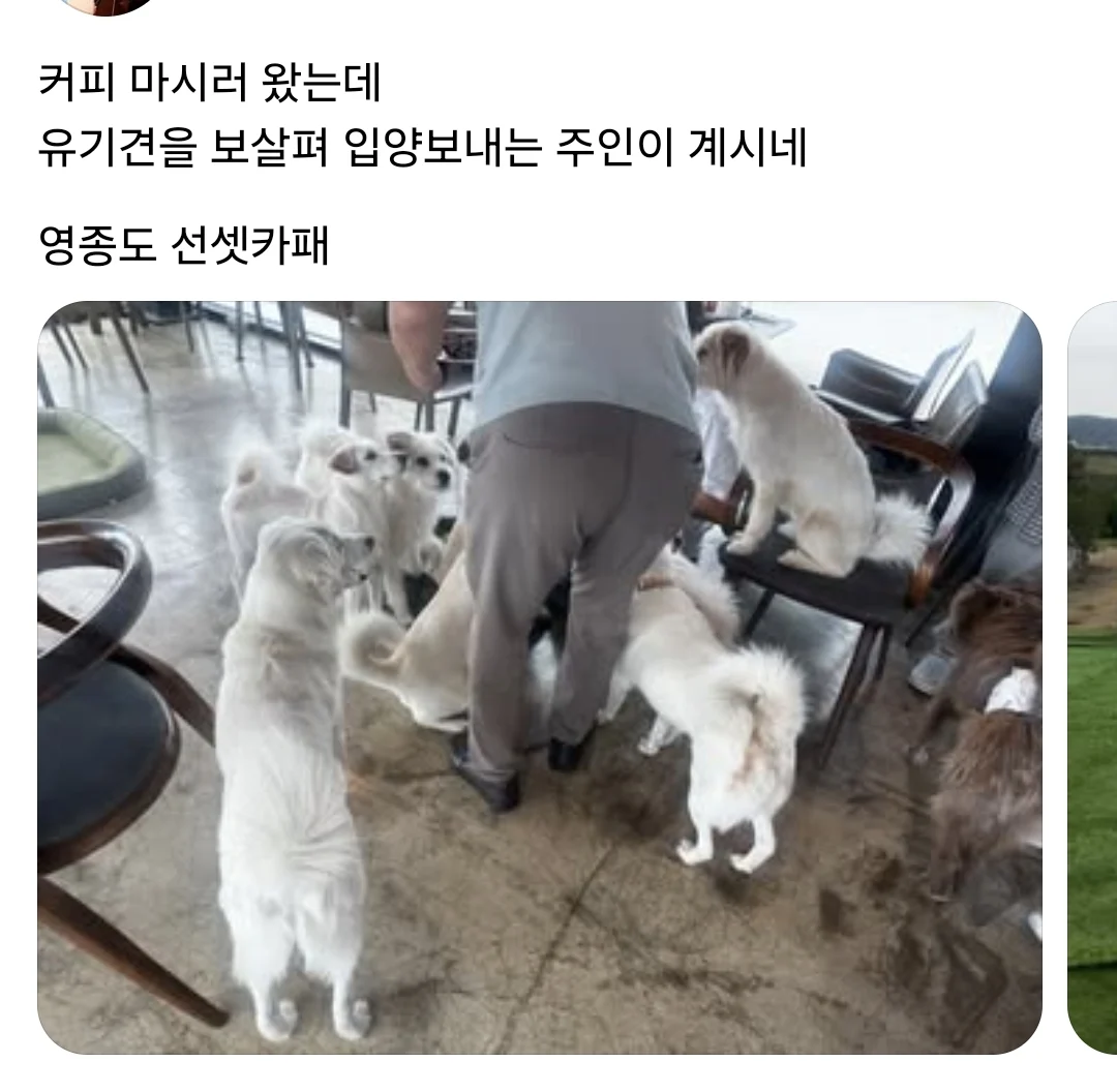운영이 ㄹㅇ 개판인 인천 영종도 카페 | 인스티즈