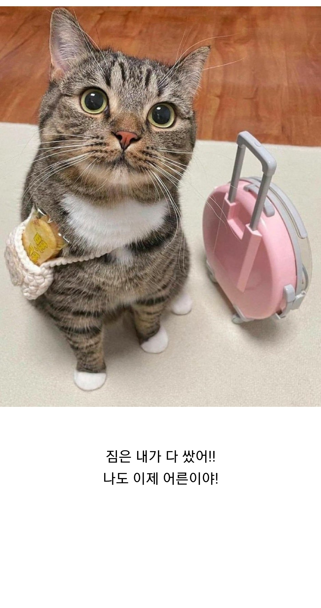 언니 나 친구들이랑 1박 2일 여행 갔다와도 돼? | 인스티즈