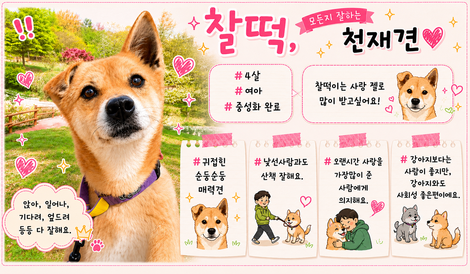 올여름은 유기동물과 함께🐶🐰😸 +임시보호 | 인스티즈