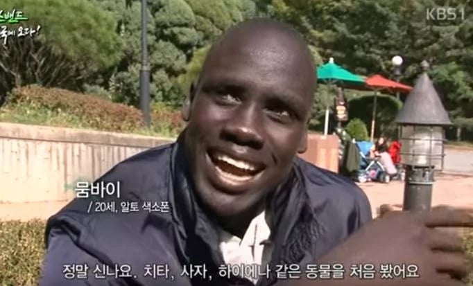 아프리카에서 온 사람이 한국에서 처음 본 것 | 인스티즈