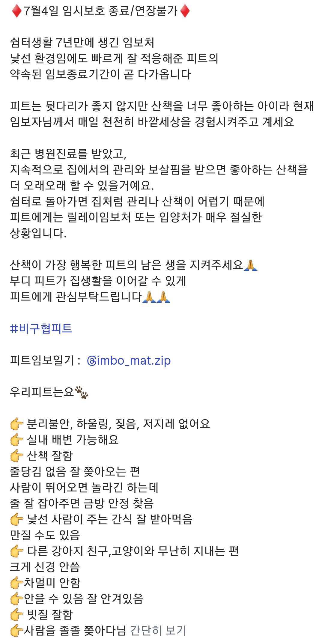 올여름은 유기동물과 함께🐶🐰😸 +임시보호 | 인스티즈