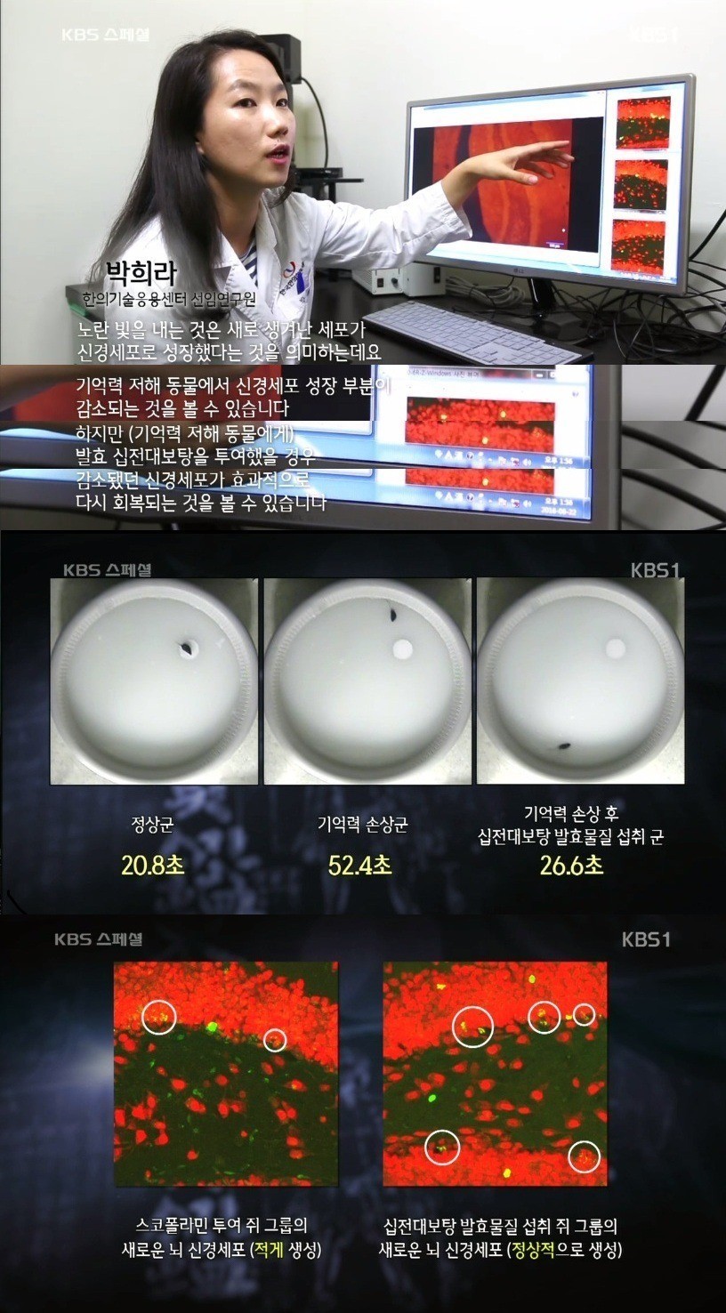 미국의사들이 말하는 한의학.jpg | 인스티즈