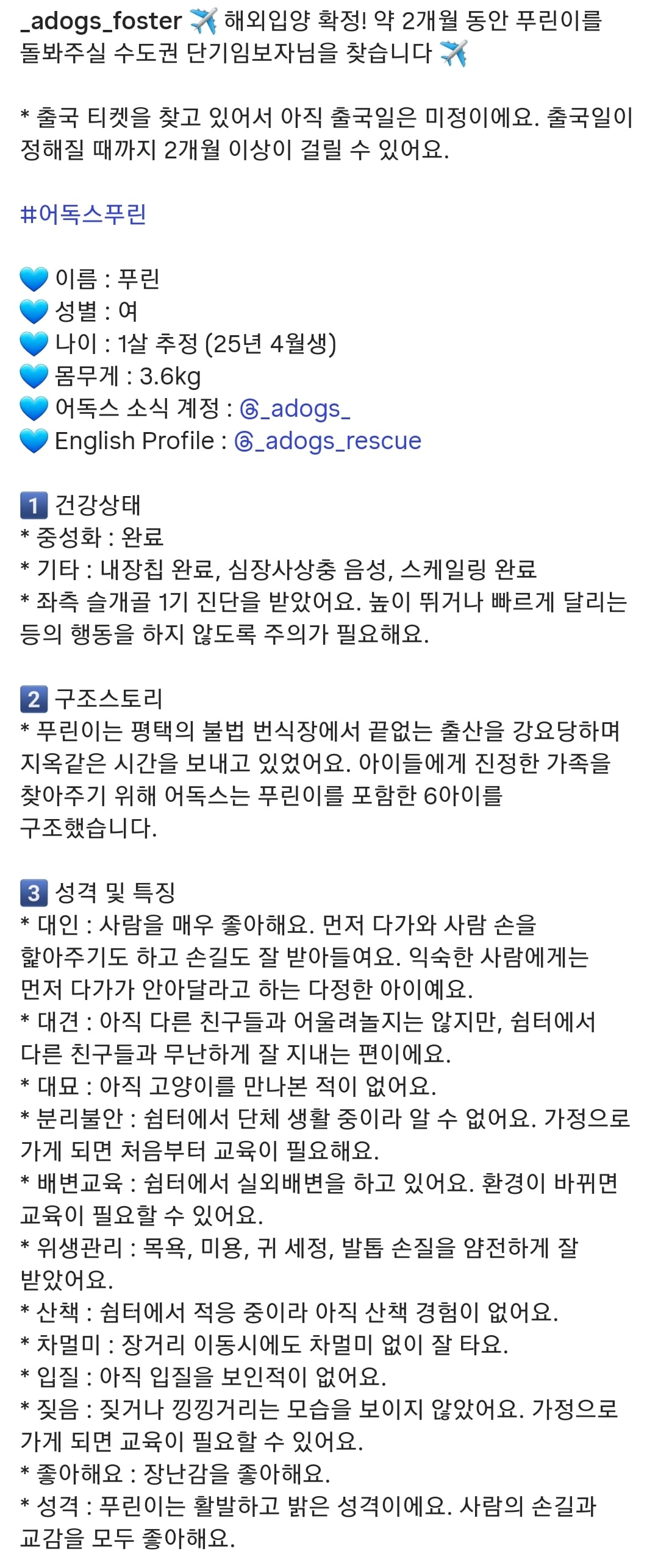 올여름은 유기동물과 함께🐶🐰😸 +임시보호 | 인스티즈