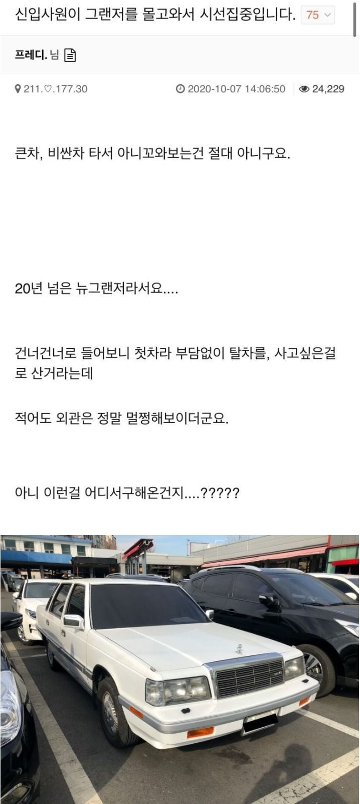 신입사원이 그랜저를 몰고왔다 | 인스티즈