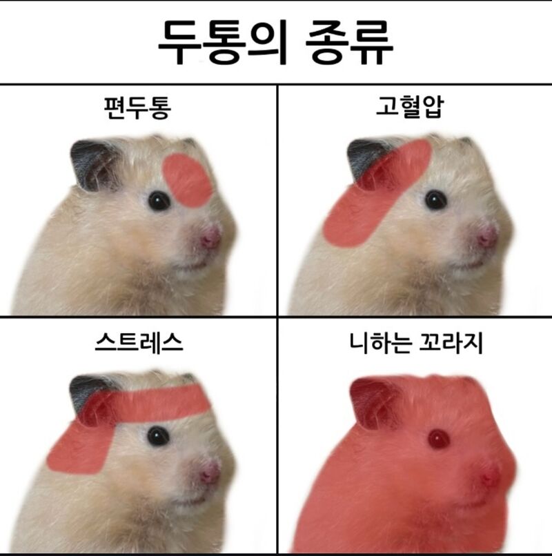 두통의 종류 | 인스티즈