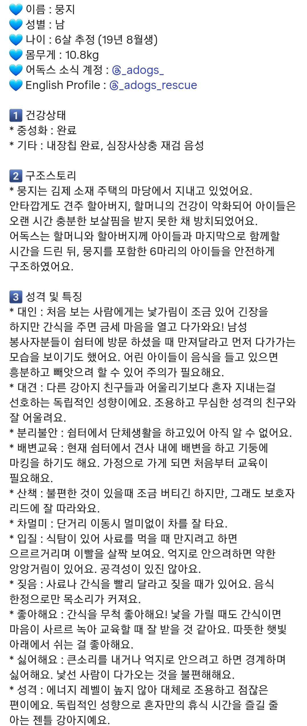 올여름은 유기동물과 함께🐶🐰😸 +임시보호 | 인스티즈