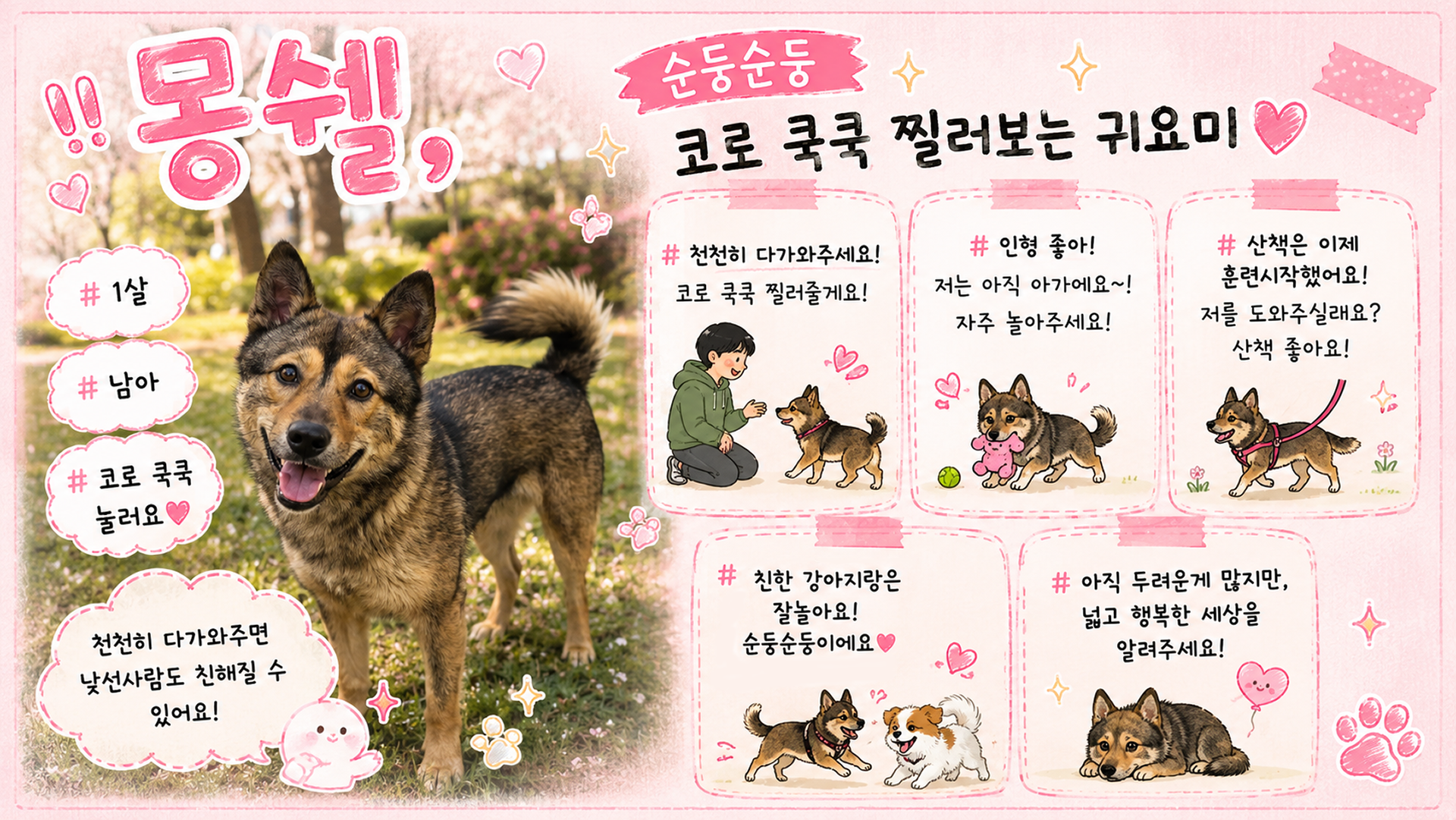 올여름은 유기동물과 함께🐶🐰😸 +임시보호 | 인스티즈