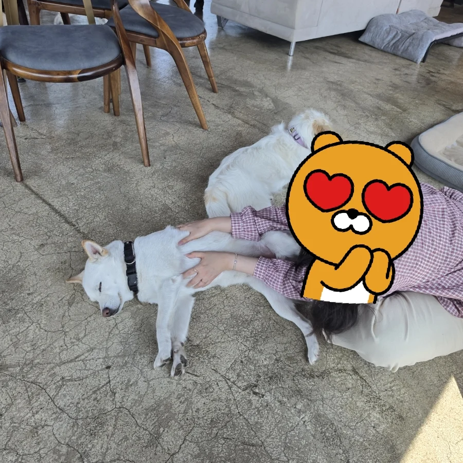 운영이 ㄹㅇ 개판인 인천 영종도 카페 | 인스티즈