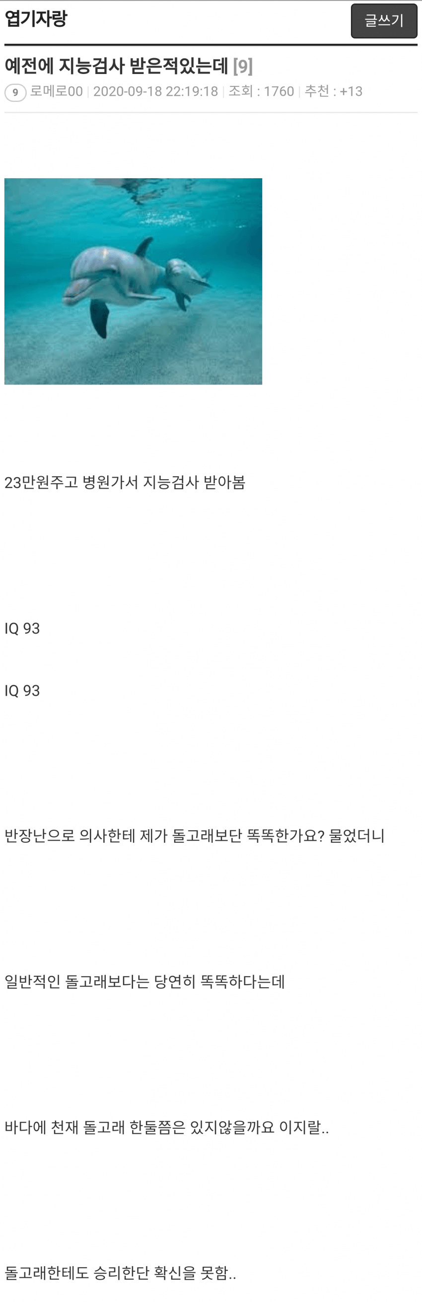 돌고래와의 지능배틀에서도 승리확신이 힘든 사람.. | 인스티즈