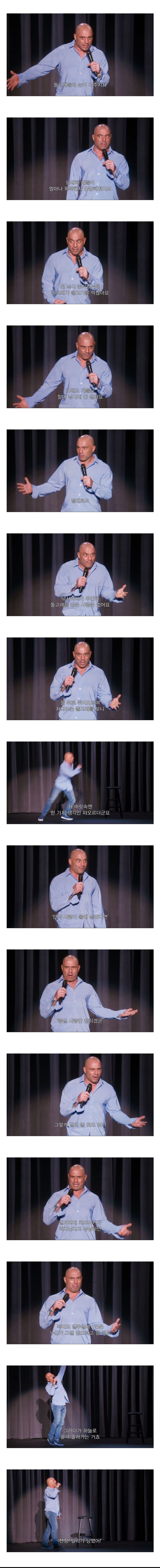 돌고래들이 정말 똑똑하다는 증거 | 인스티즈