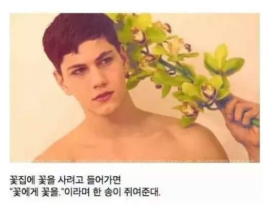 이탈리아 남자들이란.. | 인스티즈