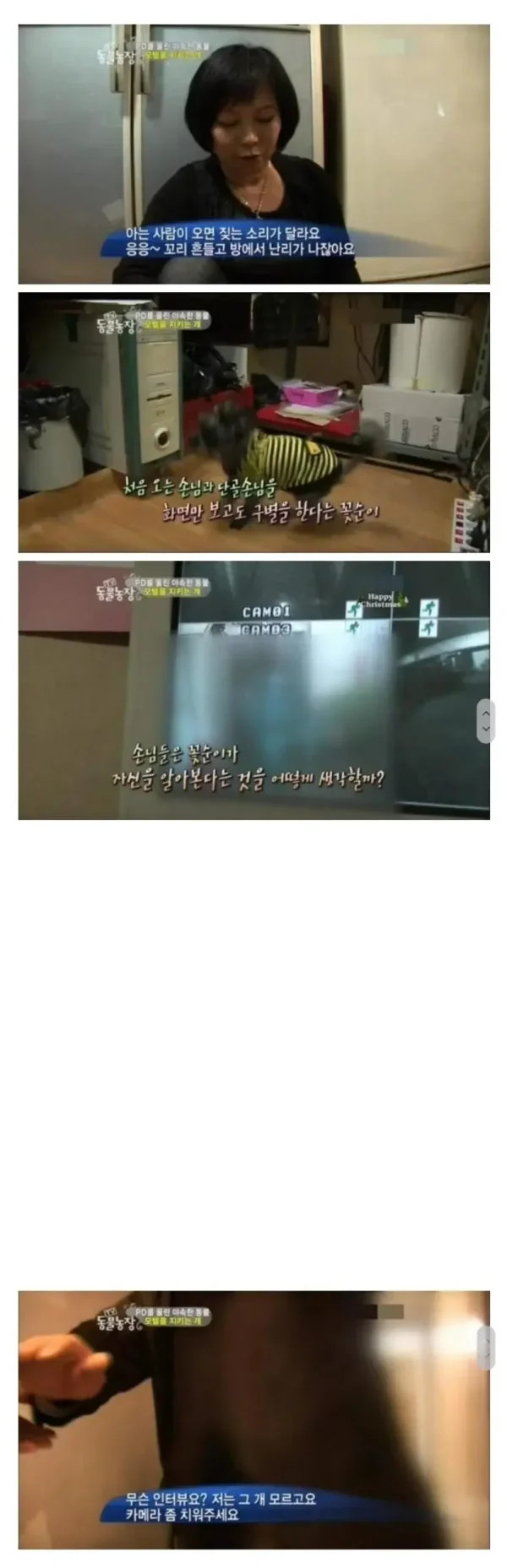 모텔 단골을 알아보는 강아지 | 인스티즈