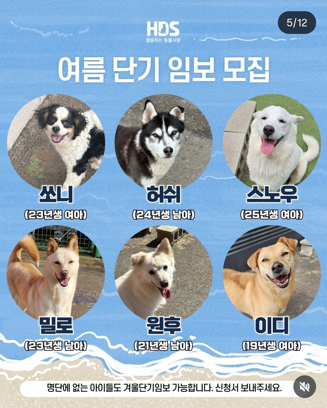 올여름은 유기동물과 함께🐶🐰😸 +임시보호 | 인스티즈